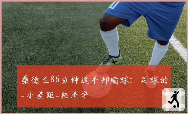 桑德兰86分钟追平却输球：足球的_小差距_经济学