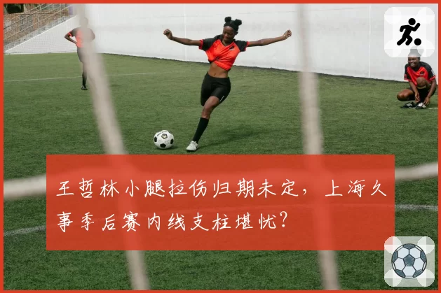 王哲林小腿拉伤归期未定，上海久事季后赛内线支柱堪忧？